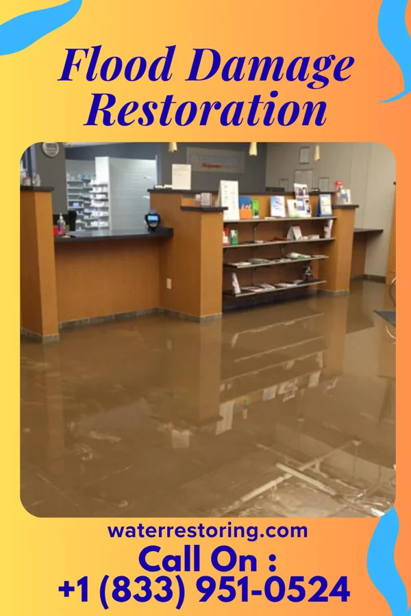 Flood Damage Restoration in Opelika, AL